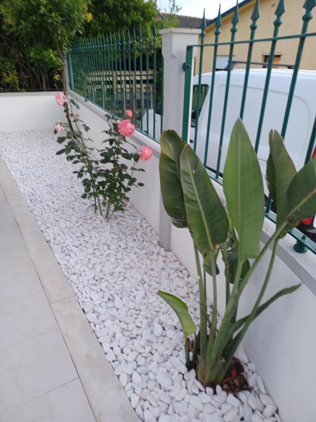 Lagoon & Country Side Home Ílhavo Exterior foto